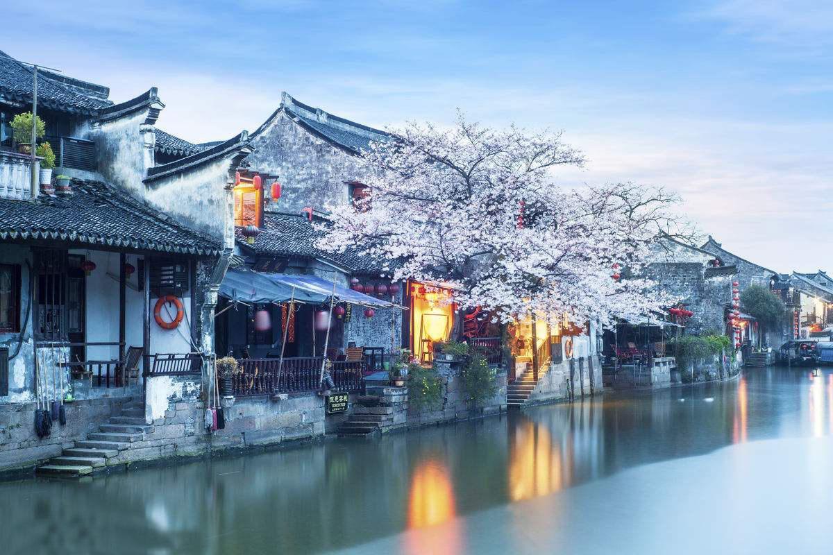 虫虫助手下载